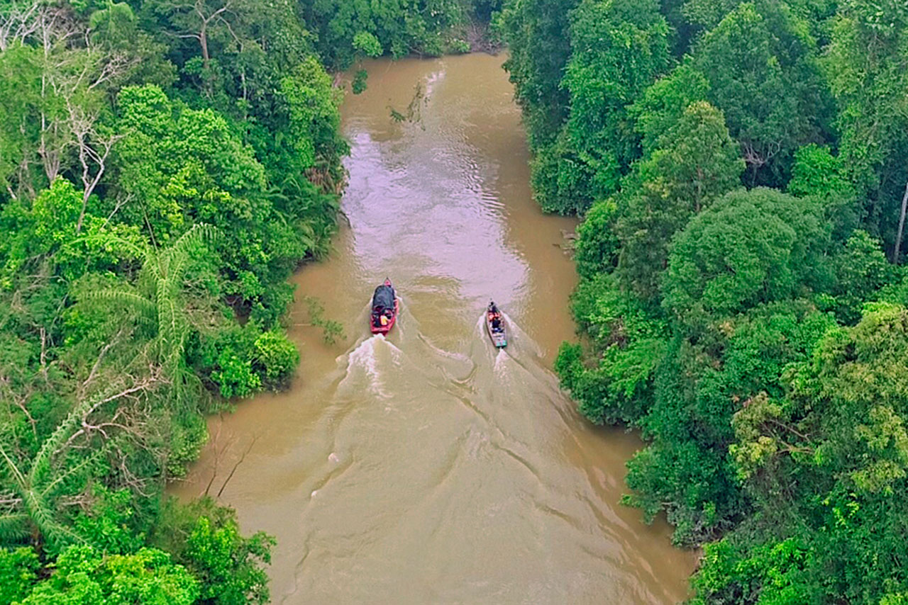 Together to protect the rainforest.