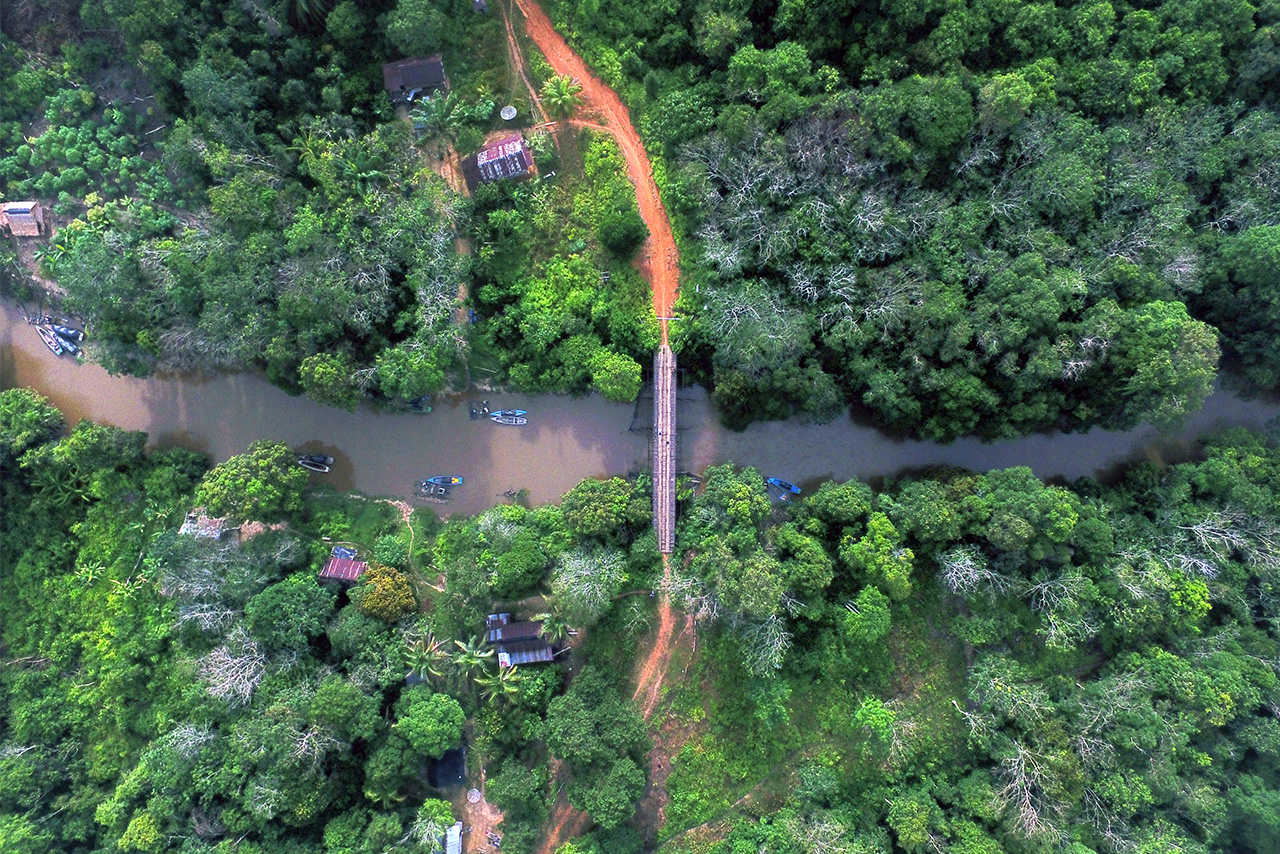 Schutz für Menschen und Ökosystem im indonesischen Regenwald.