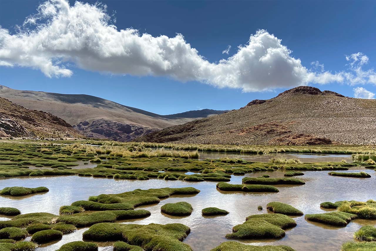 BMW Group Investor Relations