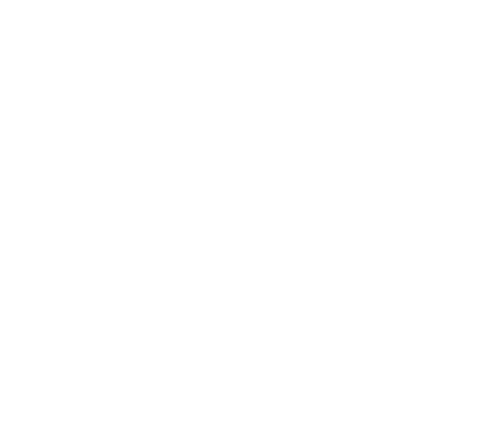 BMW E30