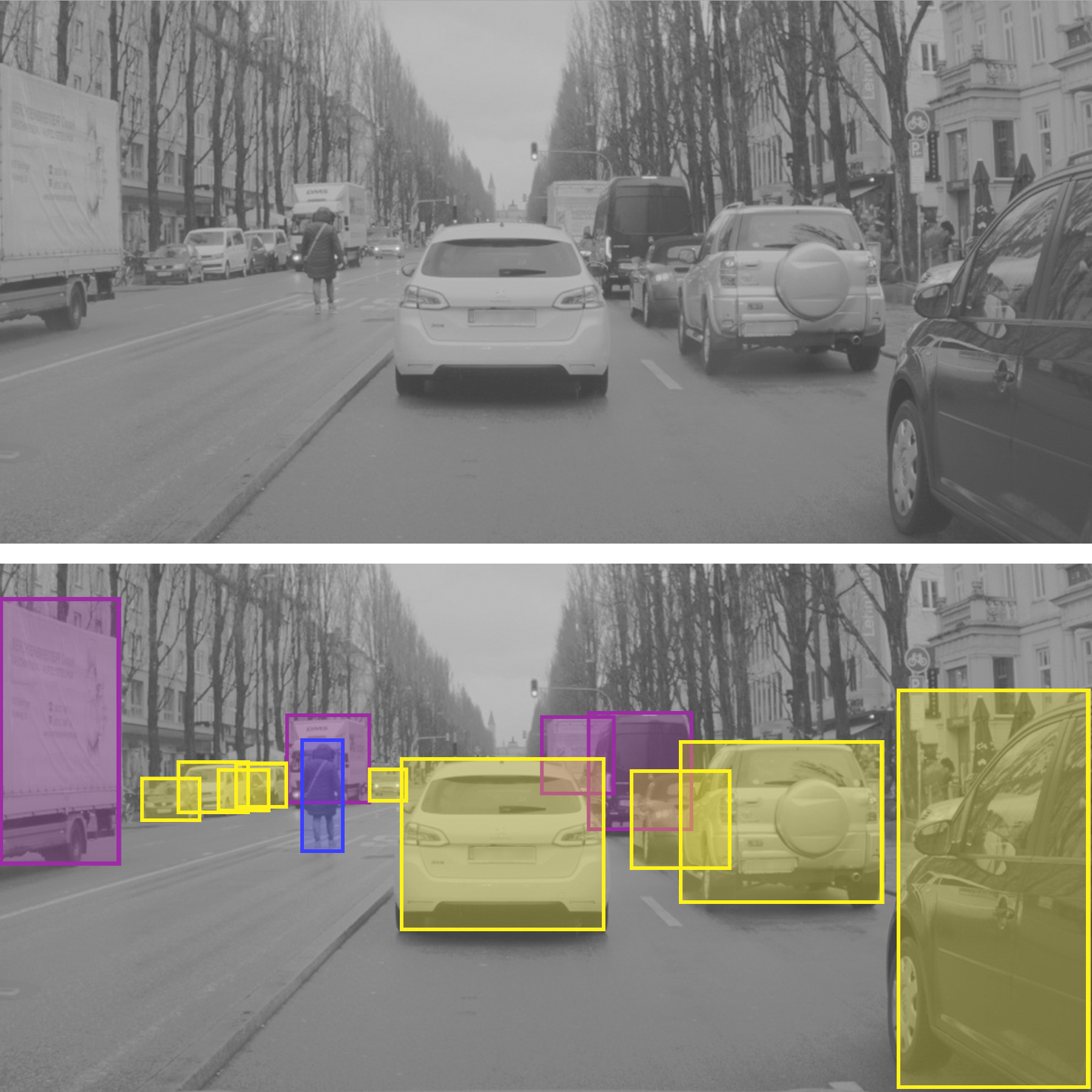 The image shows the video recording and the data extracted by software.