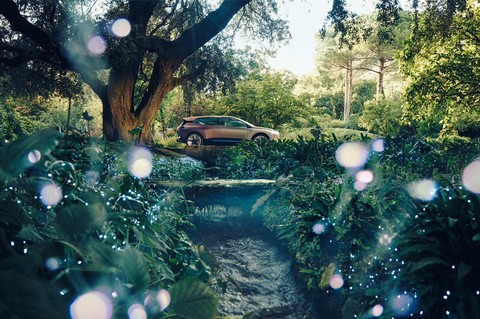BMW Vision i Next in a park