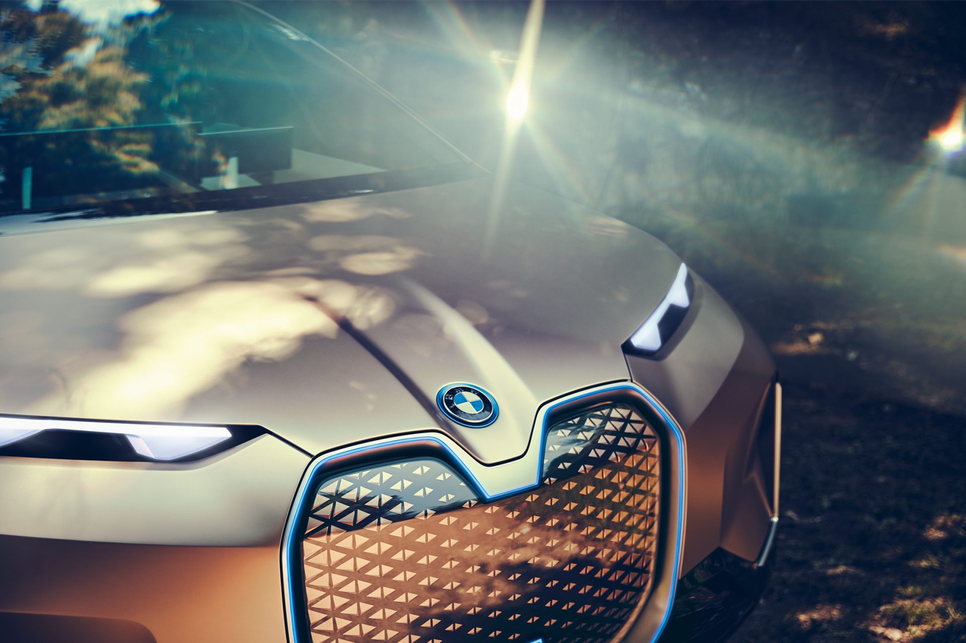 BMW Vision i Next in a park