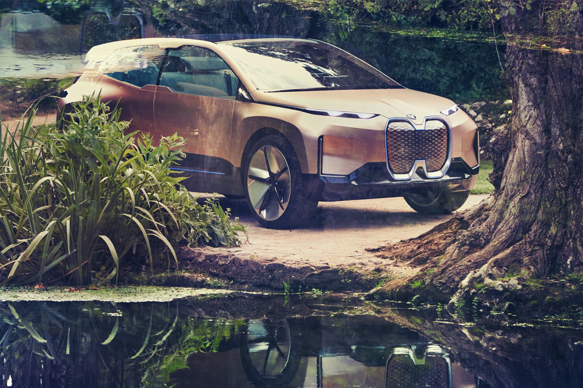 BMW Vision i Next in a park