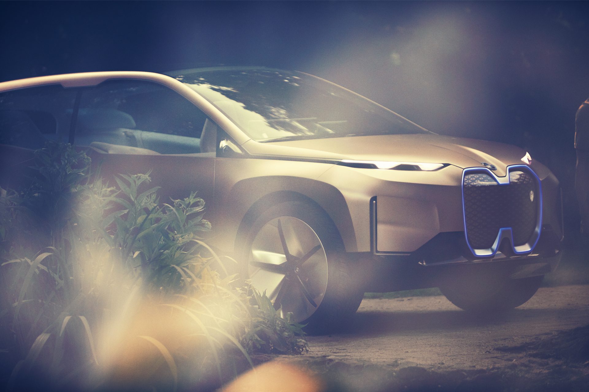 BMW Vision i Next in a park