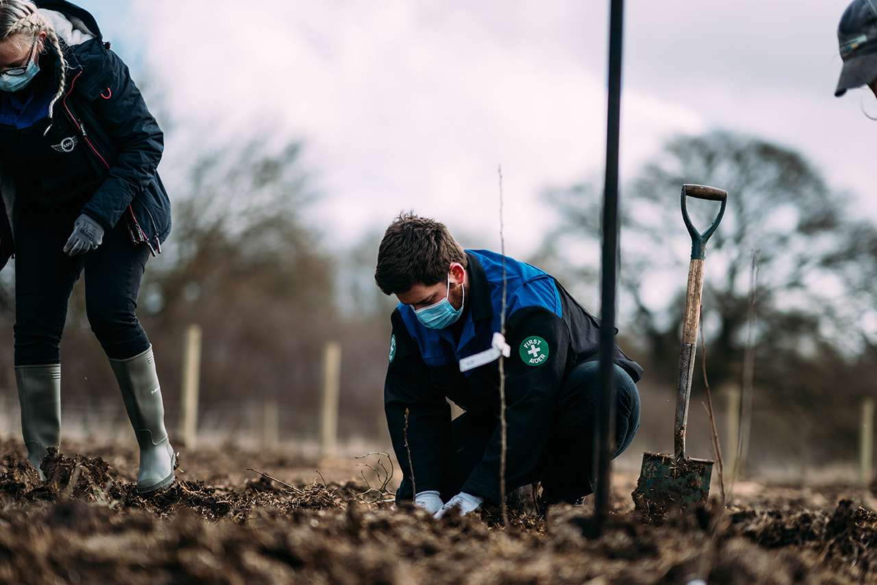 Planting trees.