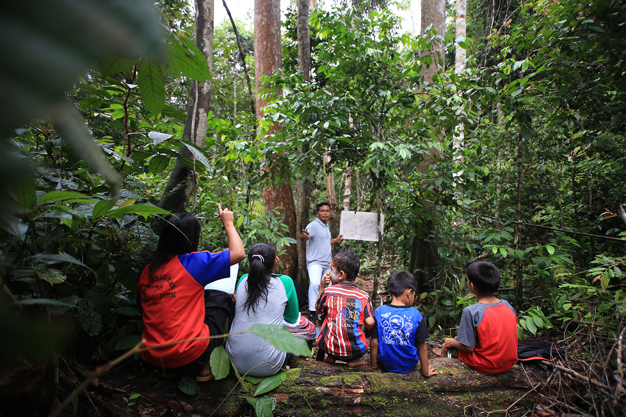 Ökosystem des indonesischen Waldes von Hutan Harapan 