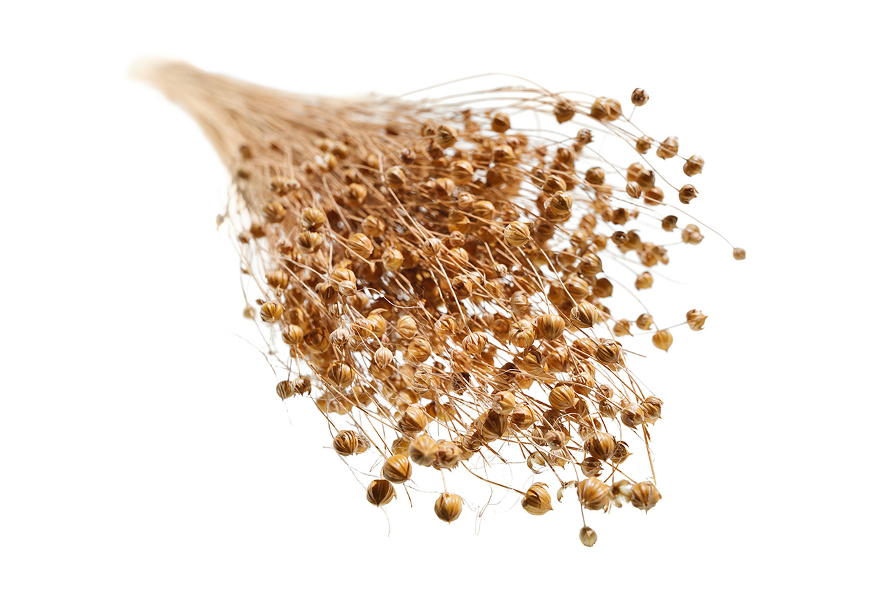 Flax: The basis for the BMW Group’s natural fibre composites