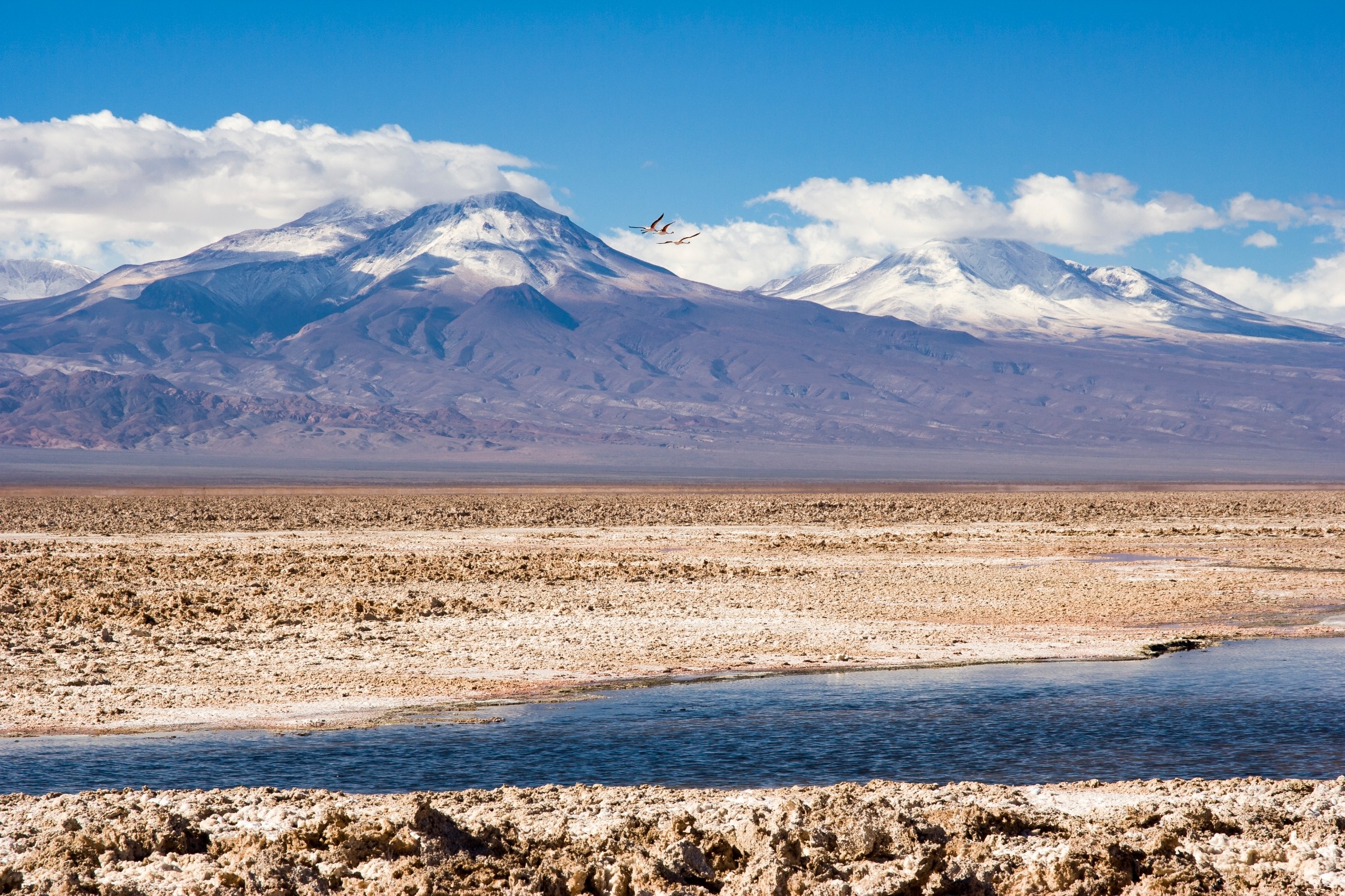 BMW Group participates in responsible lithium mining in Chile