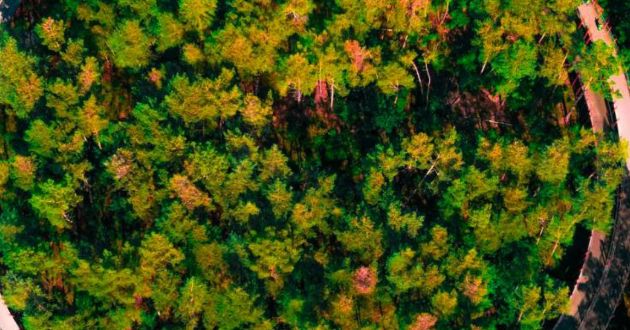 BMW Group: co-founder of a new circularity initiative.