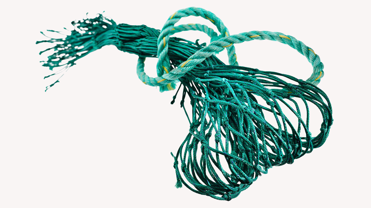 A green rope with a clearly visible knot.