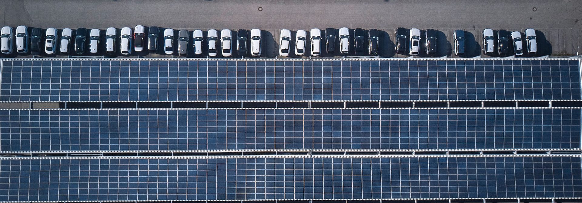 Aerial view of a parking lot with rows of white and blue cars.