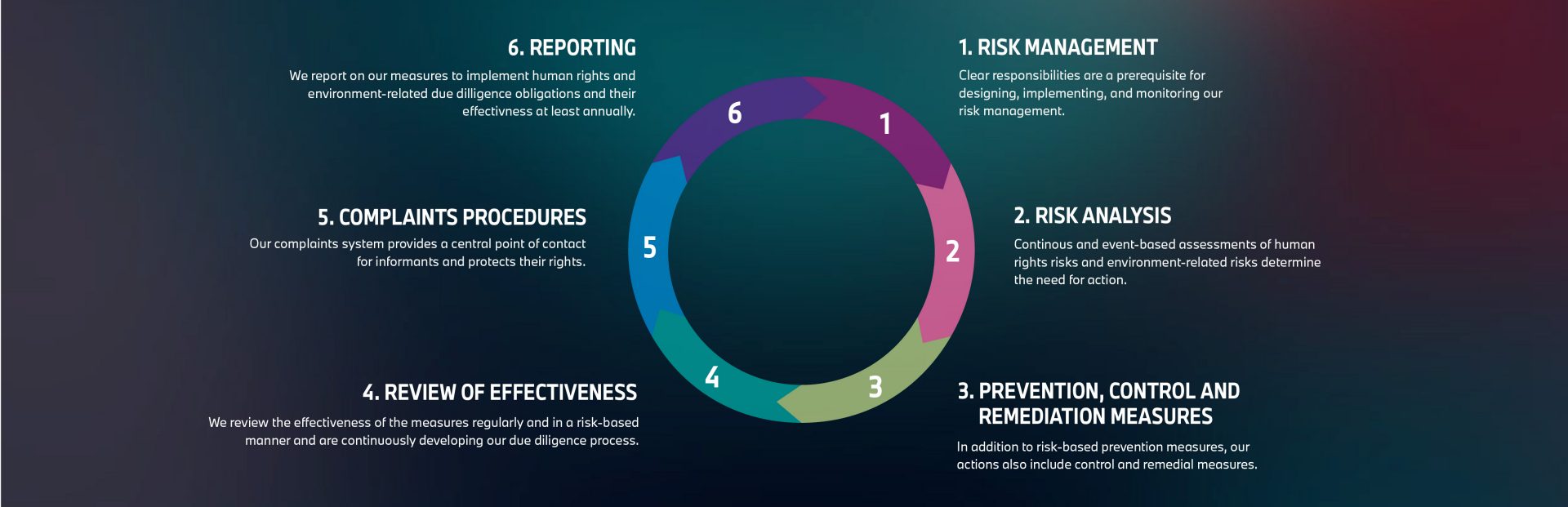 Visualization of the six phases of the due diligence process, structured and informative for better comprehensibility.