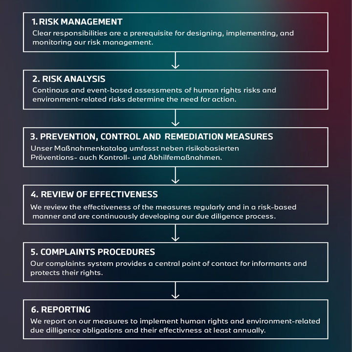 Visualization of the six phases of the due diligence process, structured and informative for better comprehensibility.